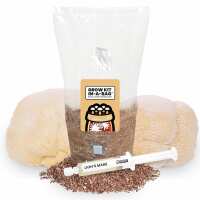 Read Mushroom Supplies Reviews