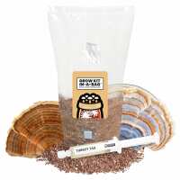 Read Mushroom Supplies Reviews