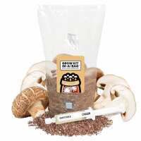 Read Mushroom Supplies Reviews