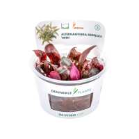 Read Aquascaping Express Reviews