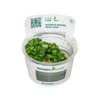 Read Aquascaping Express Reviews