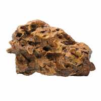 Read Aquascaping Express Reviews