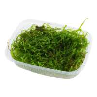 Read Aquascaping Express Reviews