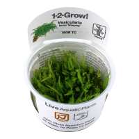Read Aquascaping Express Reviews