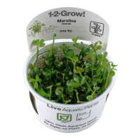 Read Aquascaping Express Reviews