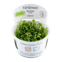 Read Aquascaping Express Reviews