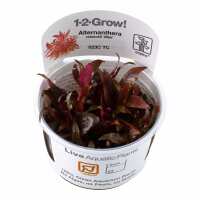 Read Aquascaping Express Reviews