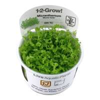 Read Aquascaping Express Reviews