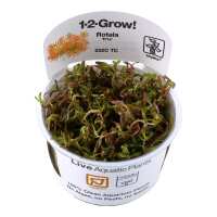 Read Aquascaping Express Reviews