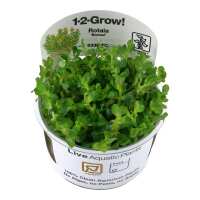 Read Aquascaping Express Reviews