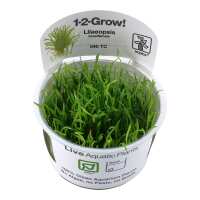 Read Aquascaping Express Reviews