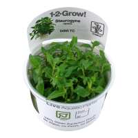 Read Aquascaping Express Reviews