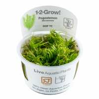 Read Aquascaping Express Reviews