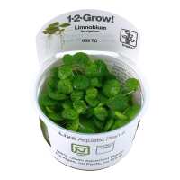 Read Aquascaping Express Reviews