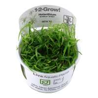 Read Aquascaping Express Reviews