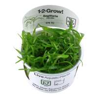 Read Aquascaping Express Reviews