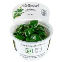 Read Aquascaping Express Reviews