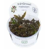 Read Aquascaping Express Reviews