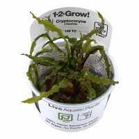 Read Aquascaping Express Reviews