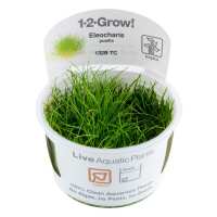 Read Aquascaping Express Reviews