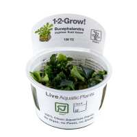 Read Aquascaping Express Reviews