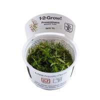 Read Aquascaping Express Reviews