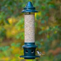 Read birdschoice.com Reviews