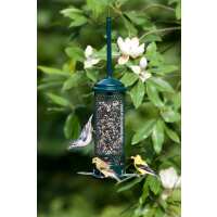 Read birdschoice.com Reviews