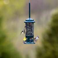 Read birdschoice.com Reviews