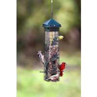 Read birdschoice.com Reviews