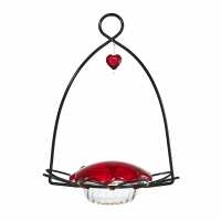 Read birdschoice.com Reviews