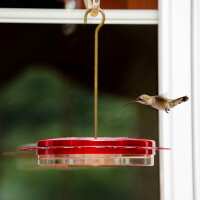 Read birdschoice.com Reviews
