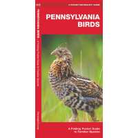Read birdschoice.com Reviews
