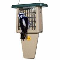 Read birdschoice.com Reviews