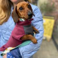 Read Doghouse Design Ltd Reviews