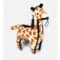 Read Doghouse Design Ltd Reviews