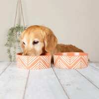 Read Doghouse Design Ltd Reviews