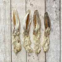 Read Doghouse Design Ltd Reviews