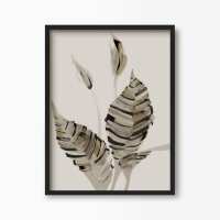 Read Green Lili Reviews