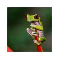 Lezen Better Places Reviews