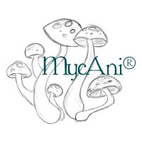 Lesen MycAni Bewertungen