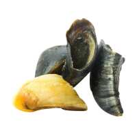 Read The Natural Doggy Chews Co. Reviews