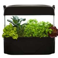 Read Vegepod New Zealand Reviews