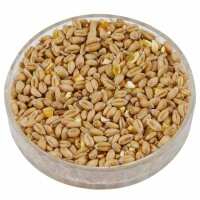 Read Ark Wildlife Reviews