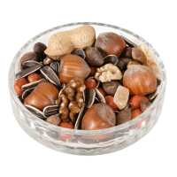 Read Ark Wildlife Reviews