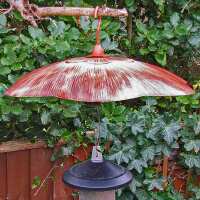 Read Ark Wildlife Reviews