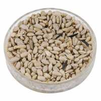 Read Ark Wildlife Reviews