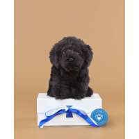 Read Send a Cuddly Reviews