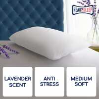 Read Pillow World Reviews