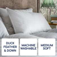 Read Pillow World Reviews